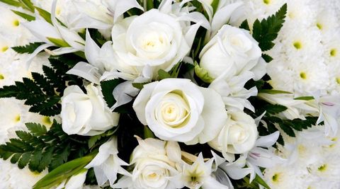 white roses