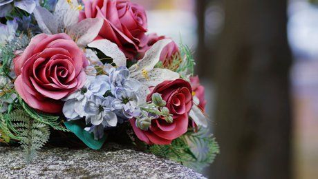 pink flowers