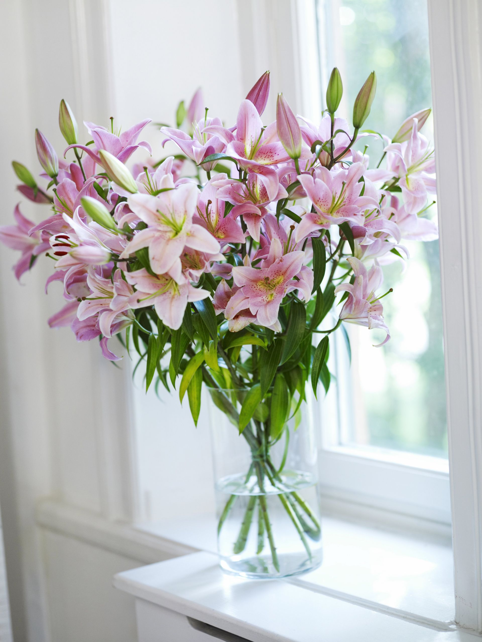 fresh flowers