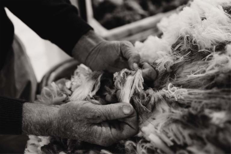 barrett shearing