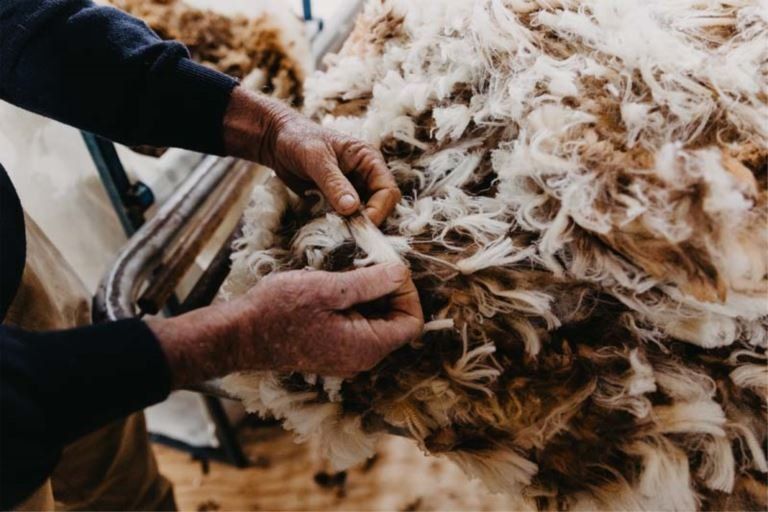 barrett shearing