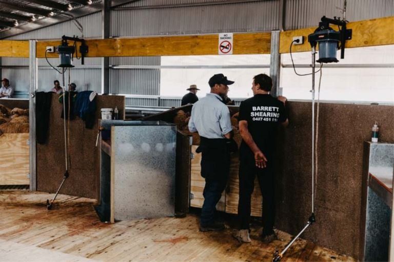 barrett shearing