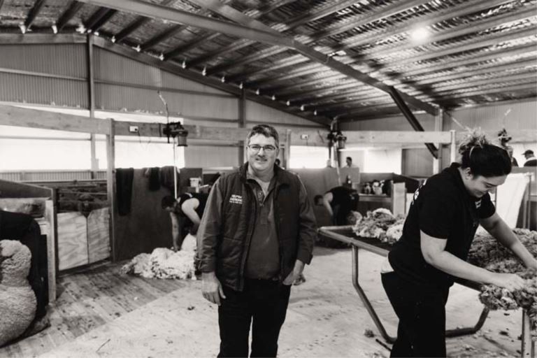 barrett shearing