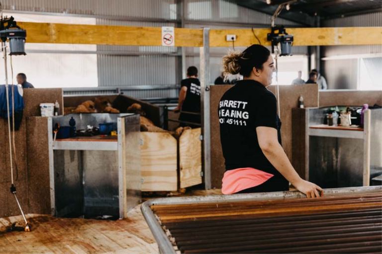 barrett shearing
