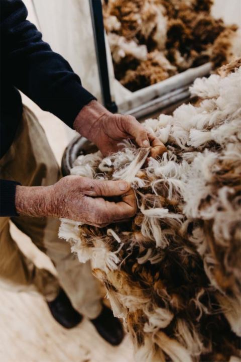 barrett shearing