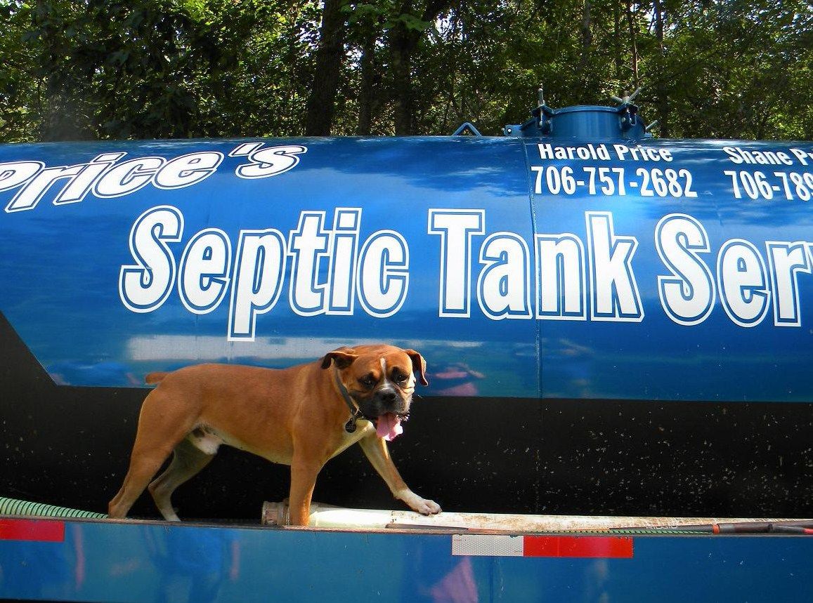 Mack Dog