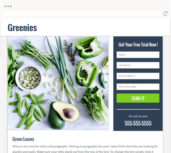 Mafikeng Website Designers