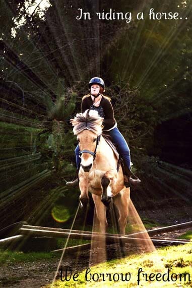 Woman on horse jumping over obstacle - Horse riding lessons in Olalla WA Woman on horse jumping over obstacle - Horse riding lessons in Olalla WA