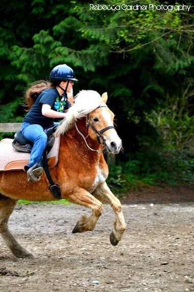 Woman running on horse - Horse riding lessons in Olalla WA Woman running on horse - Horse riding lessons in Olalla WA