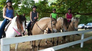 Row of riders on horses - Horse riding lessons in Olalla WA Row of riders on horses - Horse riding lessons in Olalla WA
