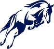 Pets Galore Horse Rides Pets Galore Horse Rides
