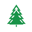 pine tree icon