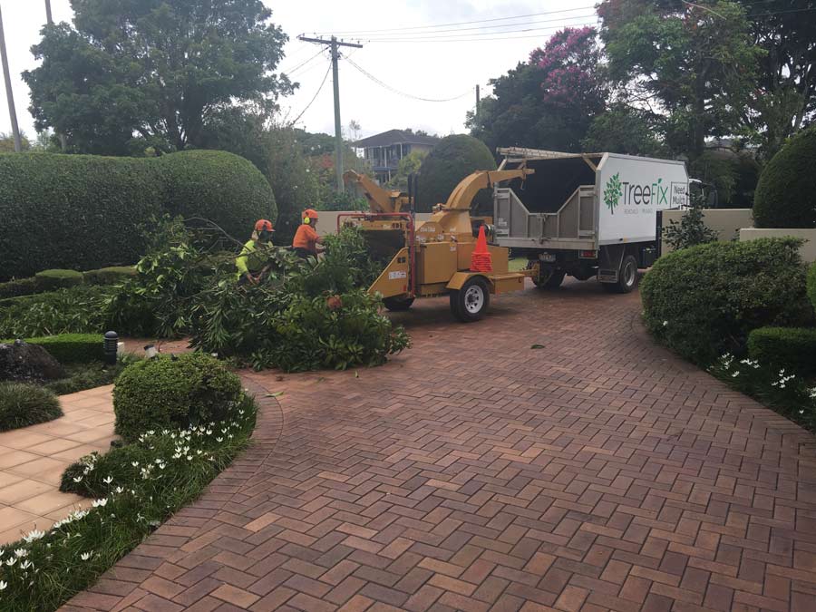 crew feeding tree limbs into a wood chipper