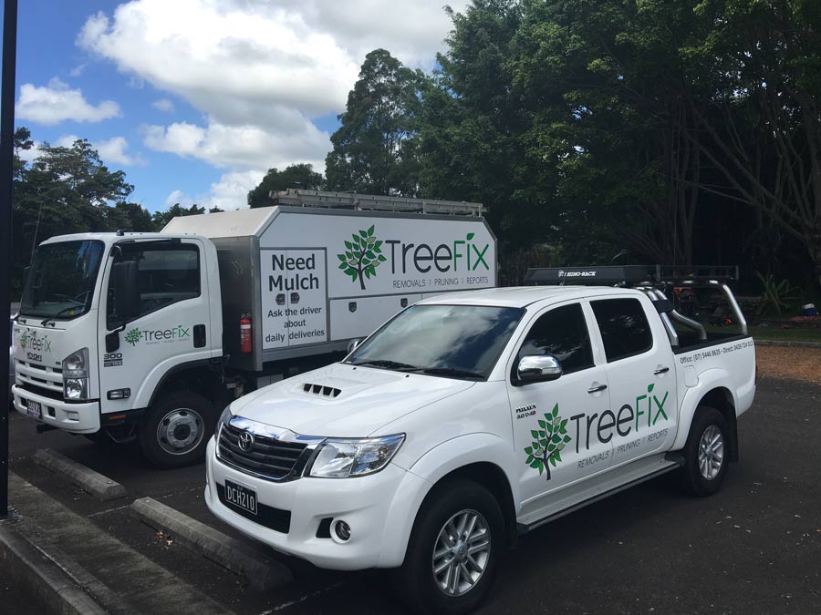 treefix company vehicles