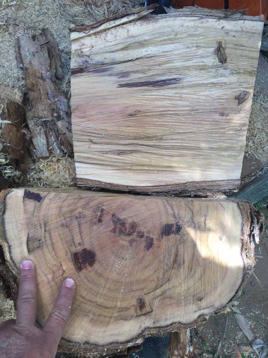 wood grains