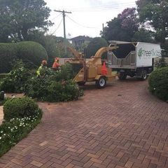 tree mulching sunshine coast