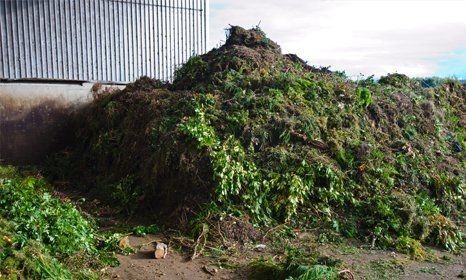 Garden waste