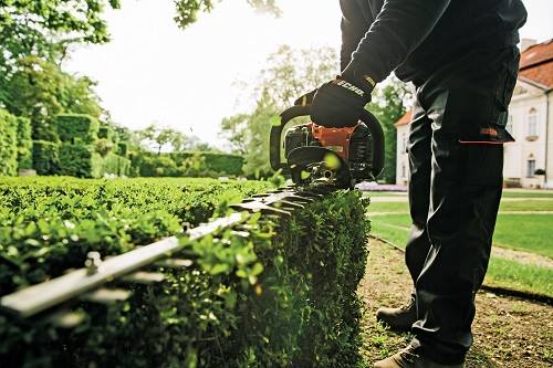 hedging