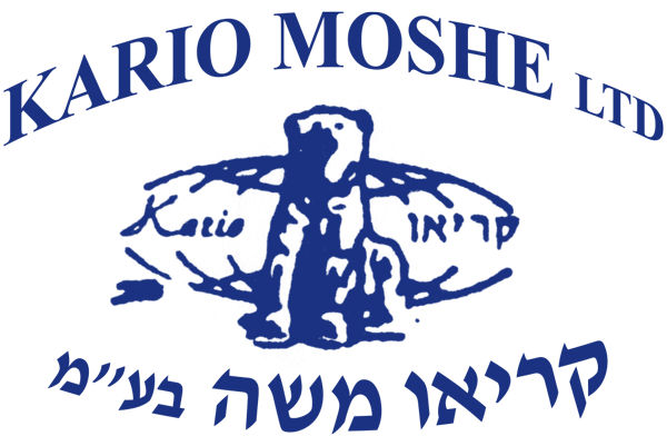 קריאו משה