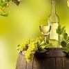 produzione vini bianchi produzione vini bianchi
