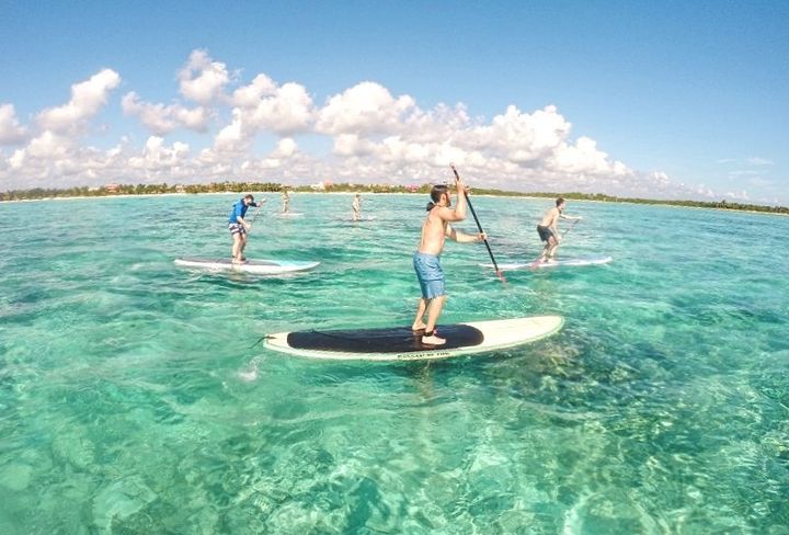 Actividades en Tulum - Tour de paddleboard con Mexican Caribbean Kitesurf