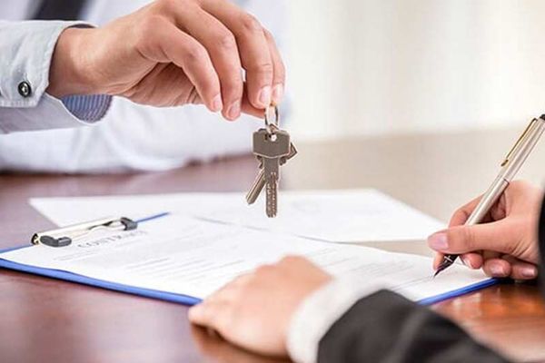 Small Business law - Tampa, FL - AMR Law Firm Small Business law - Tampa, FL - AMR Law Firm