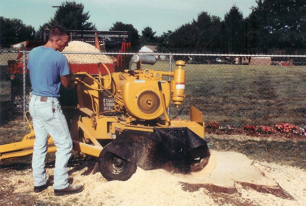 Tree removal - Tree Service in Morton, IL