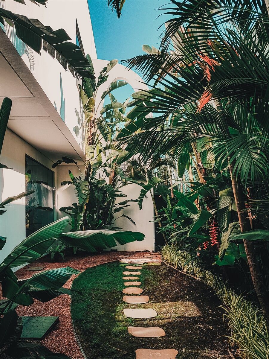 A Stone Path Leading to A Building Surrounded by Tropical Plants — All Round Ground Maintenance in Woolgoolga, NSW