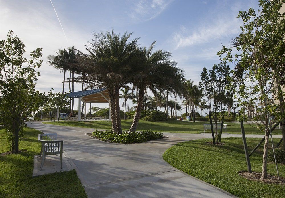 South City Beach Park Public Space