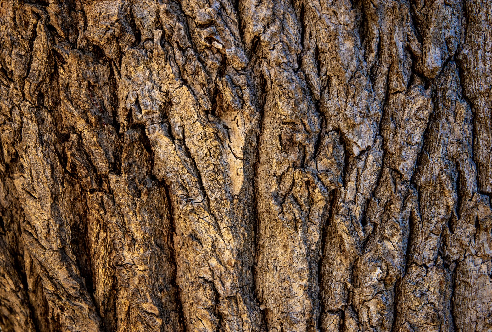 Bepsoke social media services | The Woodfuel Cooperative | HKwriting