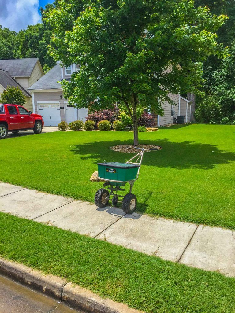 Crabgrass Control Services Crabgrass Control Services