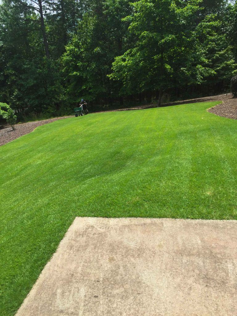 Lawn Fertilization Services Lawn Fertilization Services