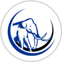 Mammoth Transport Favicon