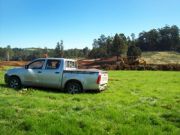Clearing open land