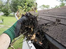 Roof Maintenance