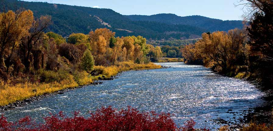 Basalt/Willits