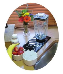 the Kitchen Prep Multi-Chef all in one built in counter appliance