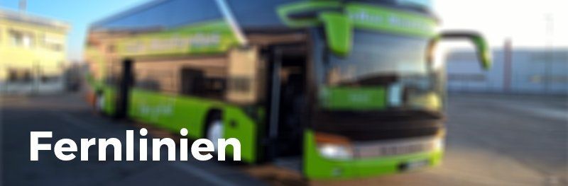 Ein grüner Doppeldeckerbus parkt am Straßenrand.