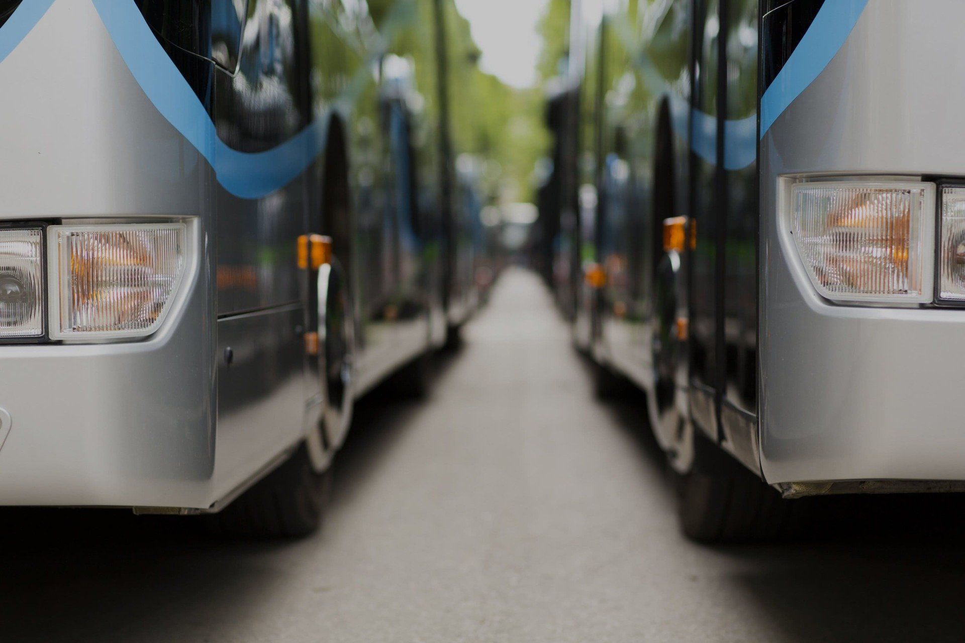 Auf einer Straße parken mehrere Busse nebeneinander.