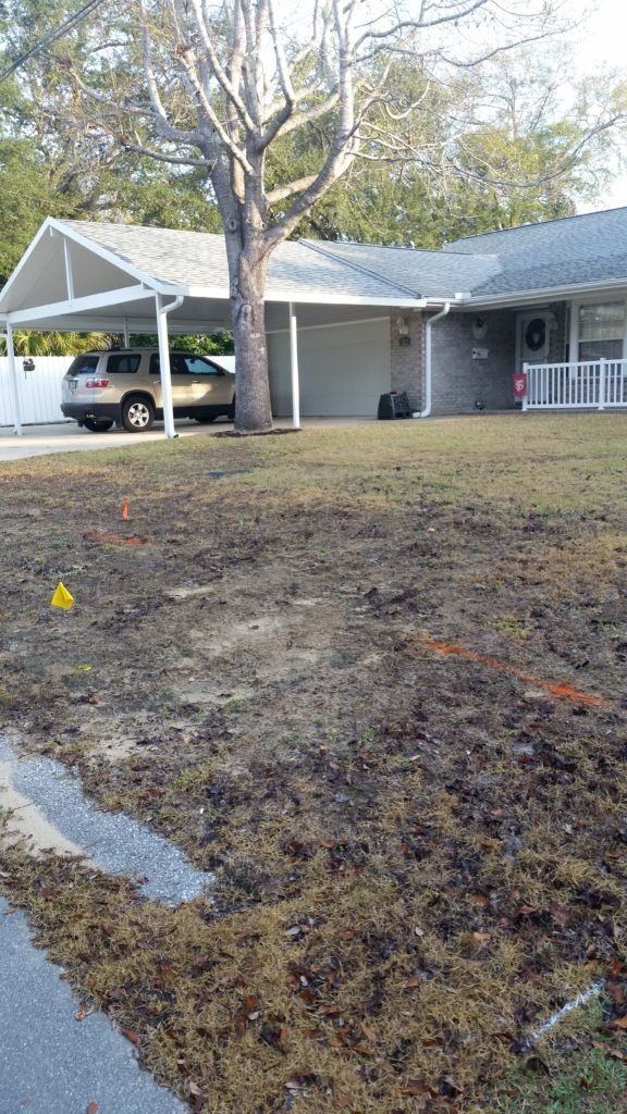 Before Front Lawn — Destin, FL — Terry’s Landscape, Inc.