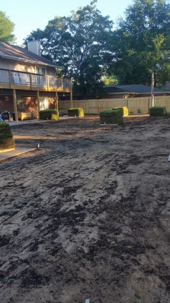 Before Lawn — Destin, FL — Terry’s Landscape, Inc.