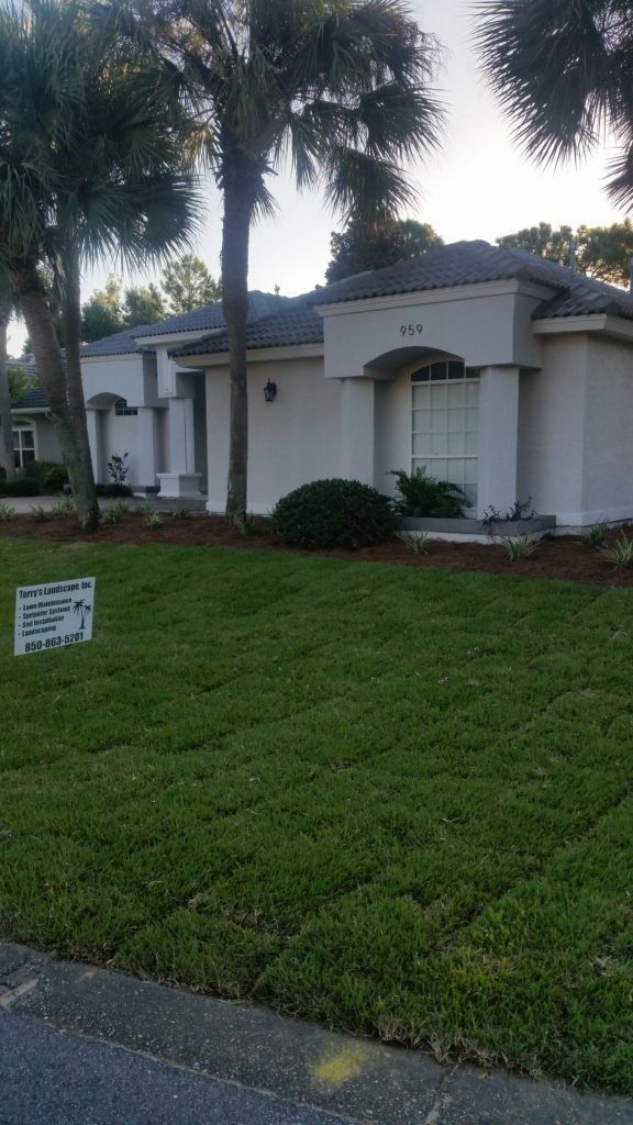 After Sod Installation — Destin, FL — Terry’s Landscape, Inc.