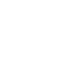CCTV icon