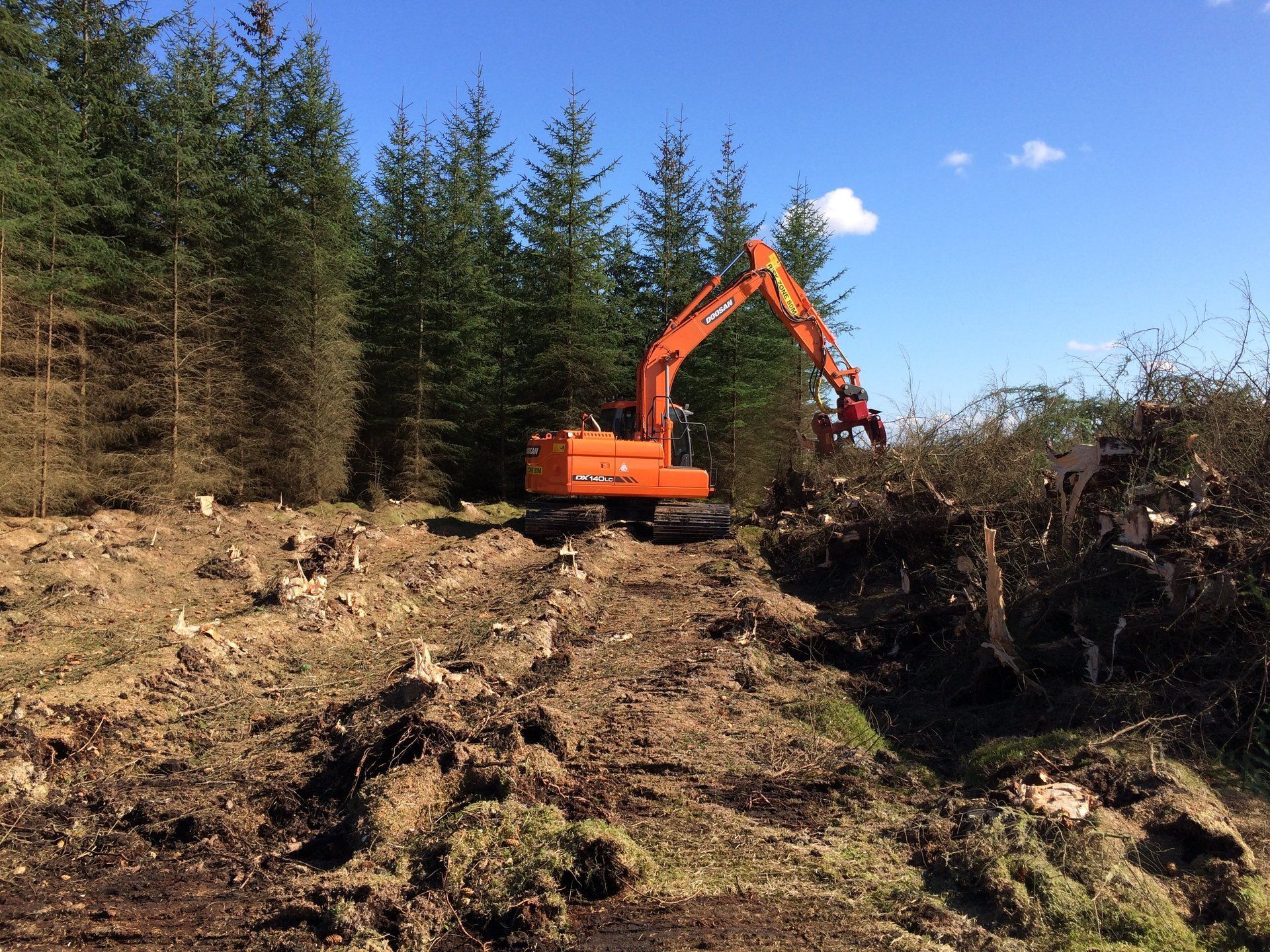 Biomass harvesting