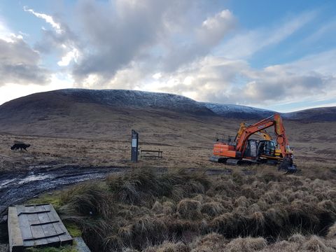 plant hire