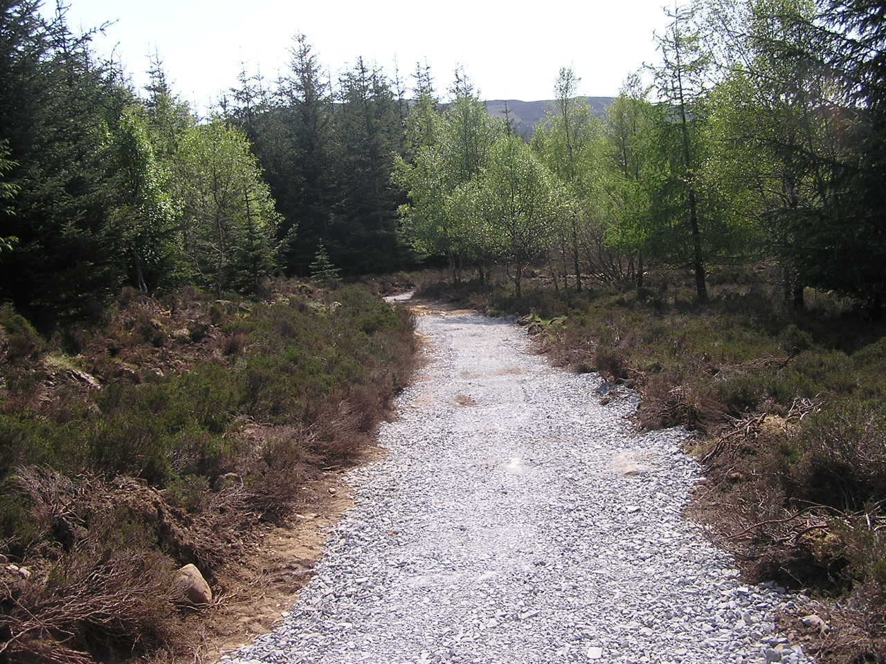 path construction