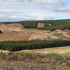 Forest Management