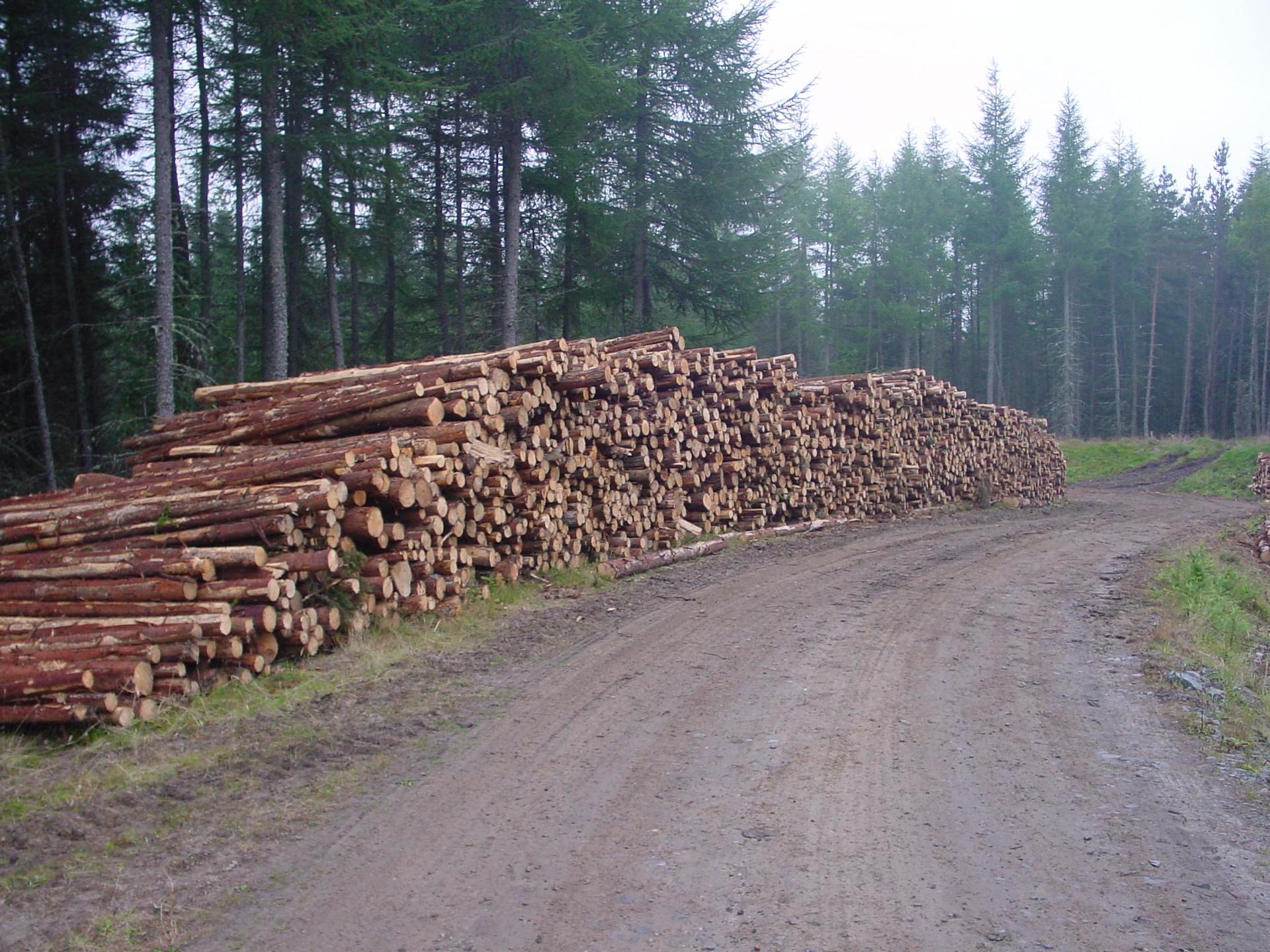 firewood