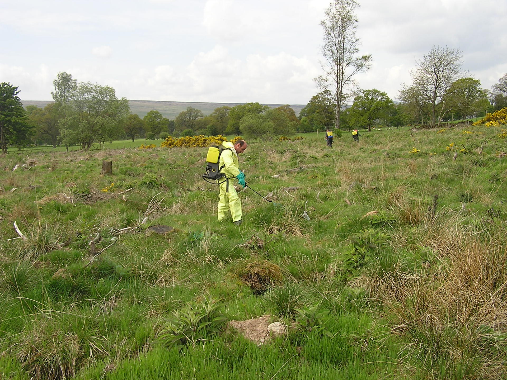 Team at RTS Forestry