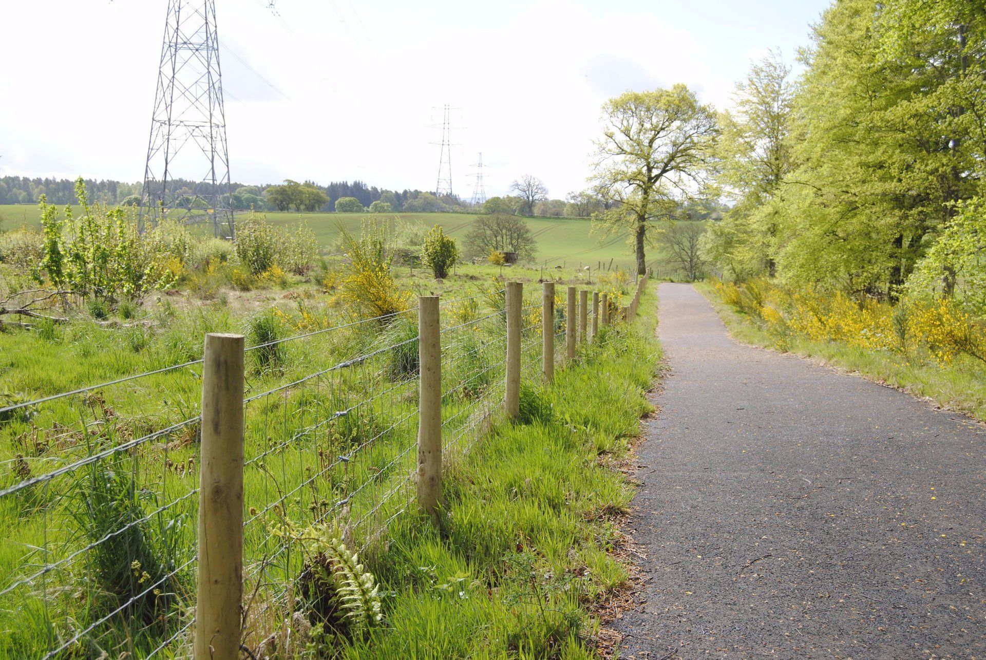 wired fence